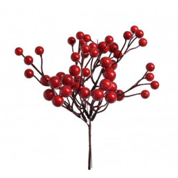 Pik głogu 6szt-pęczek..20 cm