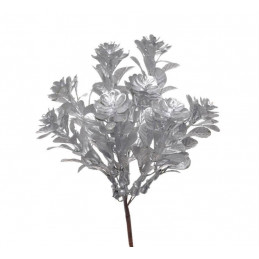 Rozchodnik pik 8szt-pęcz. x12..14 cm