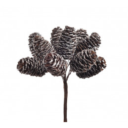 Szyszunia pik 10szt-pęczek x12..11 cm