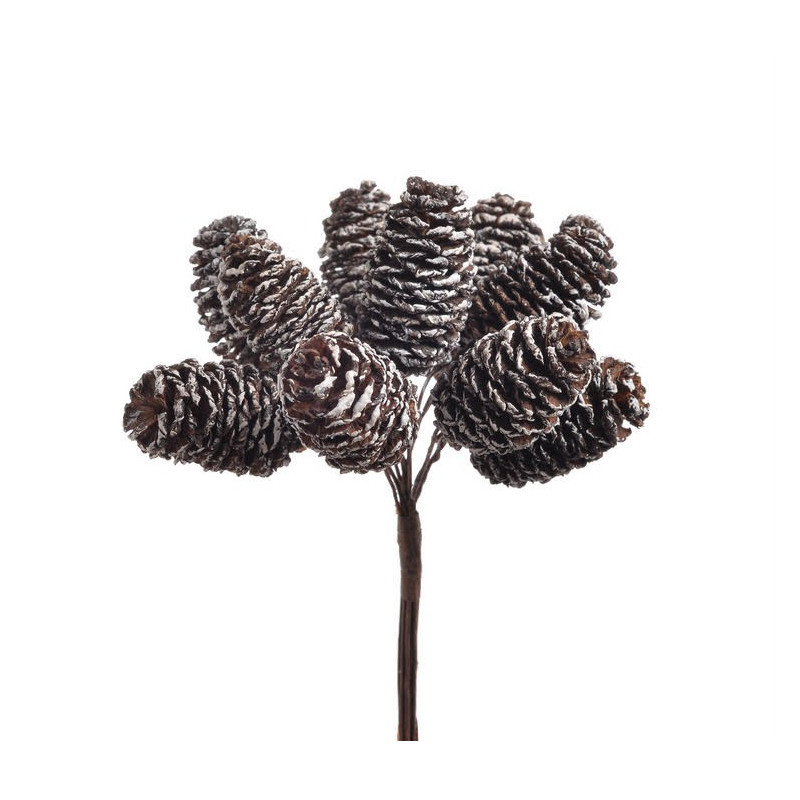 Szyszunia pik 10szt-pęczek x12..11 cm