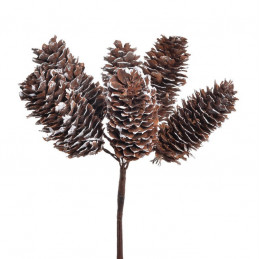 Szyszunia pik 6 szt-pęczek x12..11 cm