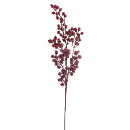 Gałązka głogu..80 cm