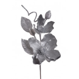 Pik brokacona magnolia x2..26cm