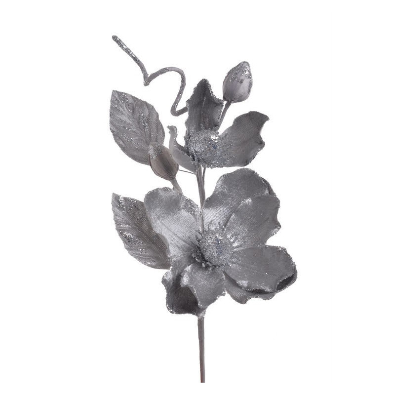 Pik brokacona magnolia x2..26cm