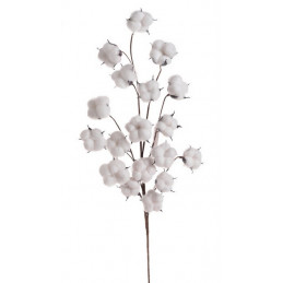 Gałązka z bawełną..85 cm