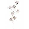 Gałązka bawełny x6..70 cm - naturalna bawełna