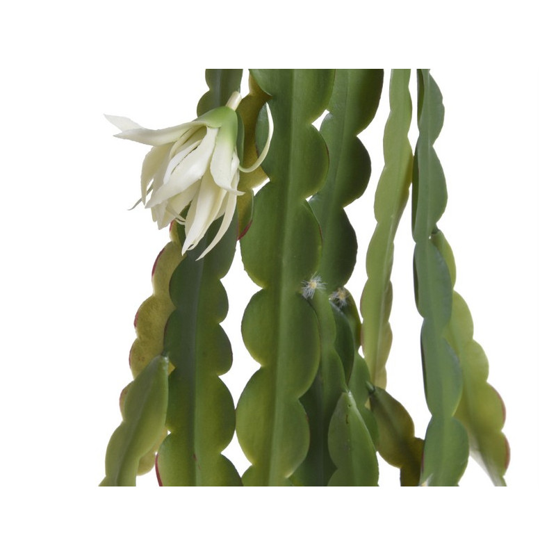 Epifilum kwitnące...80cm - sztuczna roślina