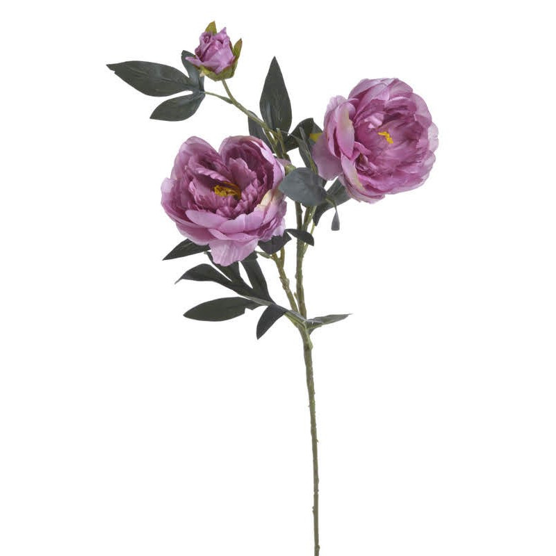 Piwonia x 3 76 cm