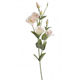 Eustoma 80 cm - sztuczna roślina