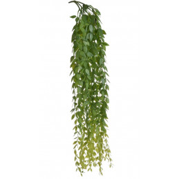 Roślina zwisająca 109 cm