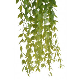 Roślina zwisająca 109 cm
