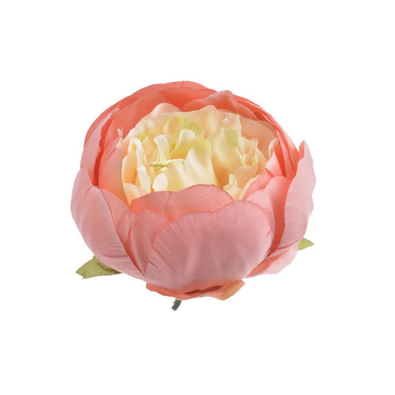 Główka piwonii 8 cm, 6szt-paczka