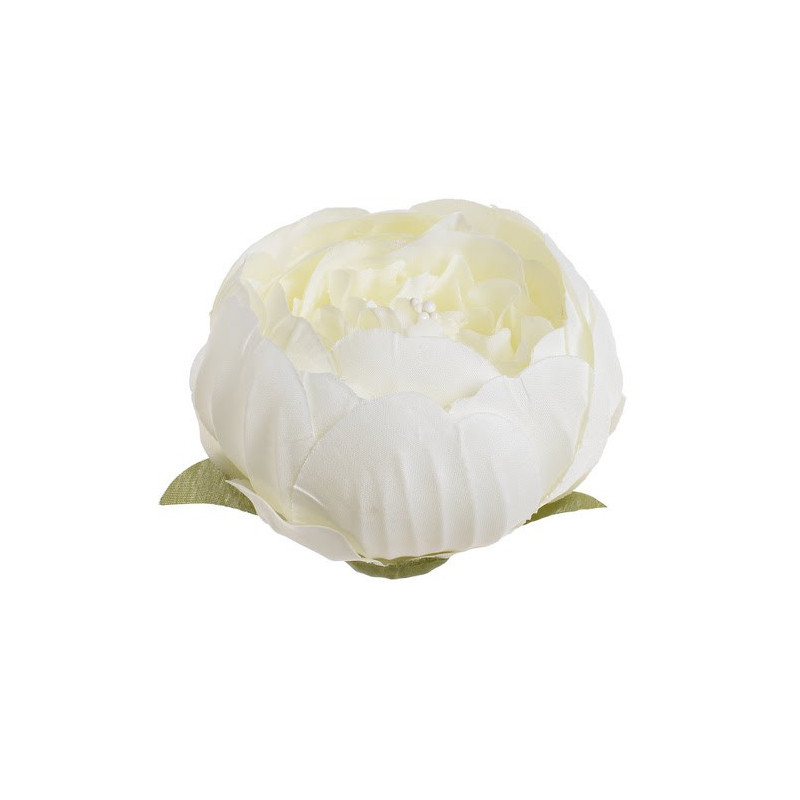 Główka piwonii 8 cm, 6szt-paczka