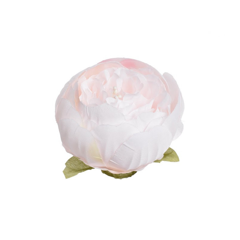 Główka piwonii 8 cm, 6szt-paczka