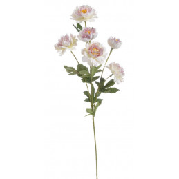 Piwonia karłowata x6..62 cm - sztuczna roślina