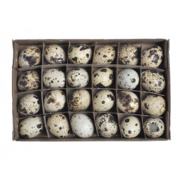 Wydmuszka jajka przepiórki 24 sztuki
