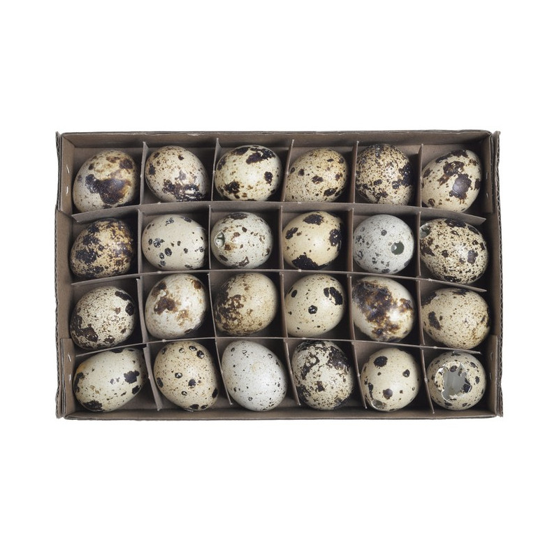 Wydmuszka jajka przepiórki 24 sztuki