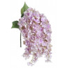 Hortensja wisząca x5  l.wiosenny 80 cm
