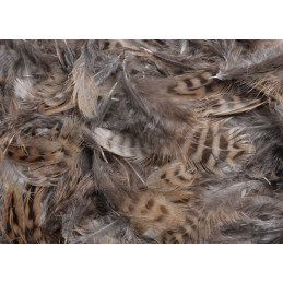 Piórka 6-10cm w paczce