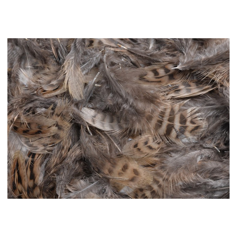 Piórka 6-10cm w paczce