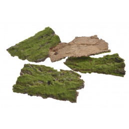 Kawałki kory z mchem..9-17 cm paczka/4 sztuki