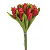 Bukiet tulipanów x 12 35 cm