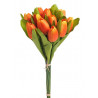 Bukiet tulipanów x 12 35 cm
