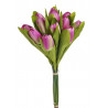 Bukiet tulipanów x 12 35 cm