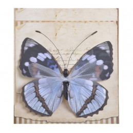 Motyl na klipie..24cm - olbrzymi