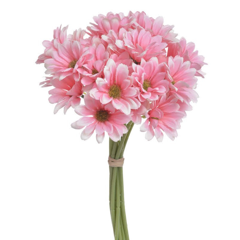 Bukiet złocieni( ZŁOCIEŃ ) x9..30 cm