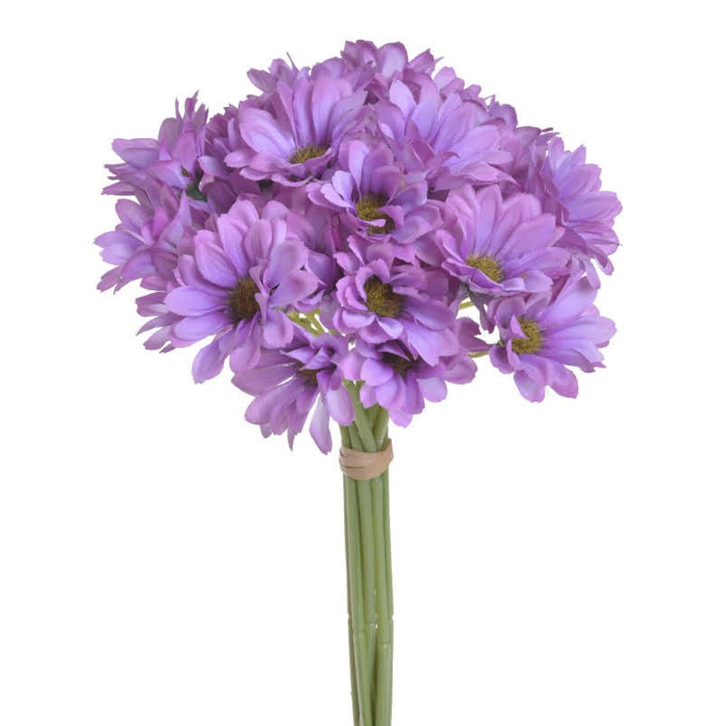 Bukiet złocieni( ZŁOCIEŃ ) x9..30 cm