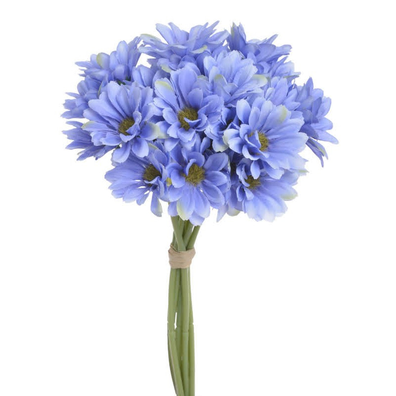 Bukiet złocieni( ZŁOCIEŃ ) x9..30 cm