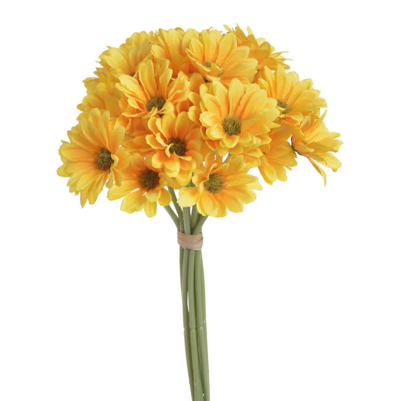 Bukiet złocieni( ZŁOCIEŃ ) x9..30 cm