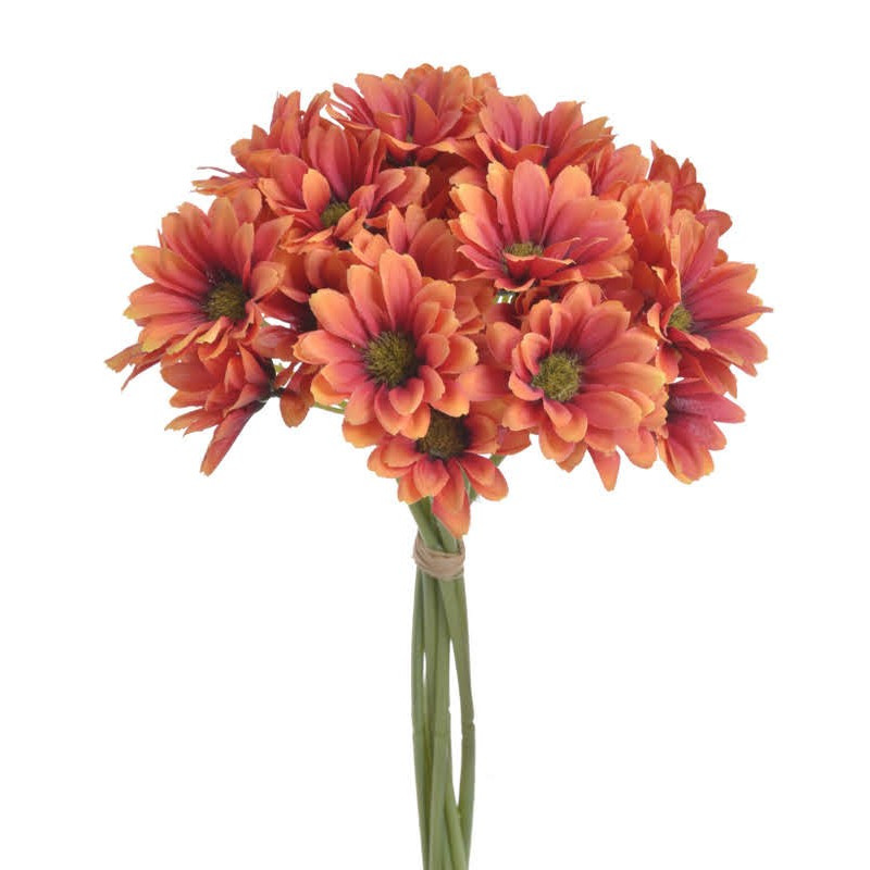 Bukiet złocieni( ZŁOCIEŃ ) x9..30 cm