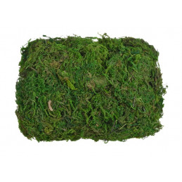 Mech dekoracyjny 100 g