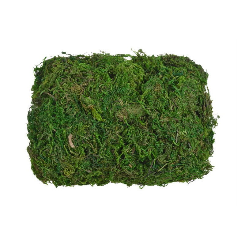 Mech dekoracyjny 100 g