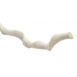 Liana 216 cm - sztuczna liana CREAM