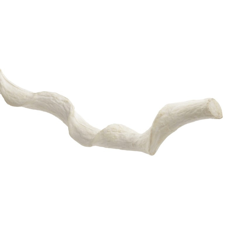 Liana 216 cm - sztuczna liana CREAM