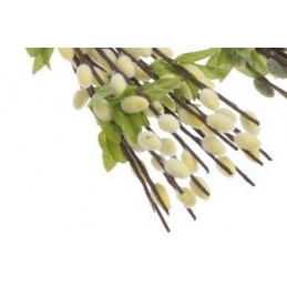 Bazie m 35 cm 12szt/wiązka - kotki