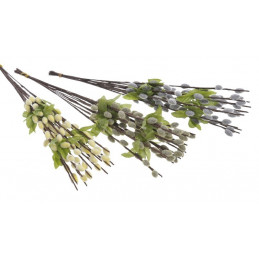 Bazie m 35 cm 12szt/wiązka - kotki