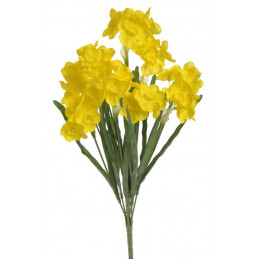 Bukiet żonkili x9..65 cm
