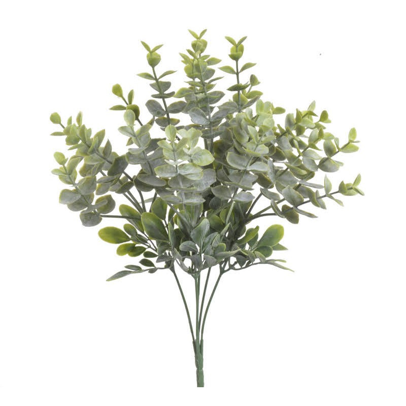 Eukaliptus bukiet x5, 35 cm