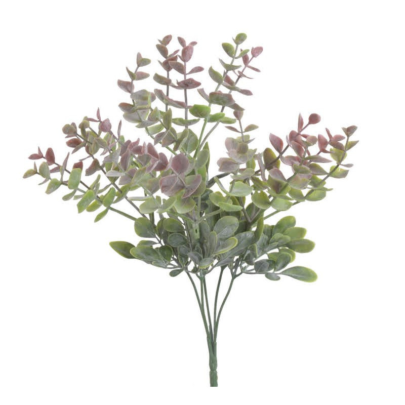 Eukaliptus bukiet x5, 35 cm