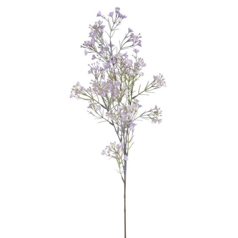 Rzeżucha łąkowa gałązka 76 cm