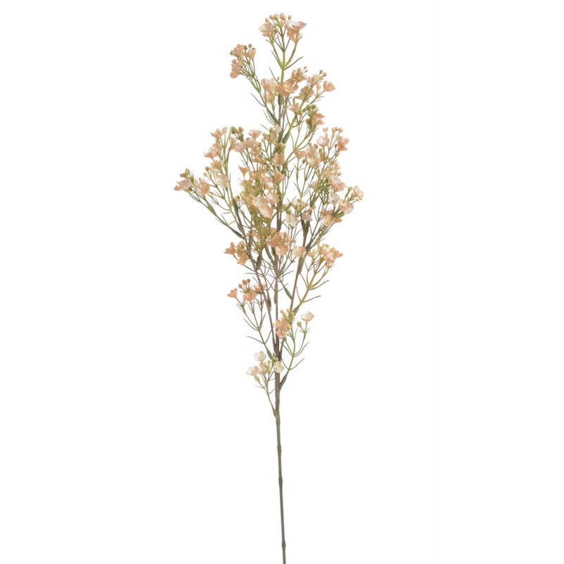 Rzeżucha łąkowa gałązka 76 cm