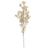 Rzeżucha łąkowa gałązka 76 cm