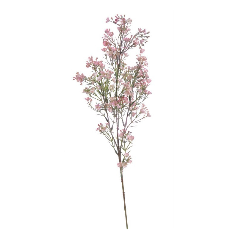 Rzeżucha łąkowa gałązka 76 cm