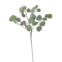 Eukaliptus populus 70 cm - sztuczna roślina