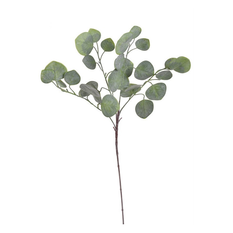 Eukaliptus populus 70 cm - sztuczna roślina