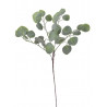 Eukaliptus populus 70 cm - sztuczna roślina